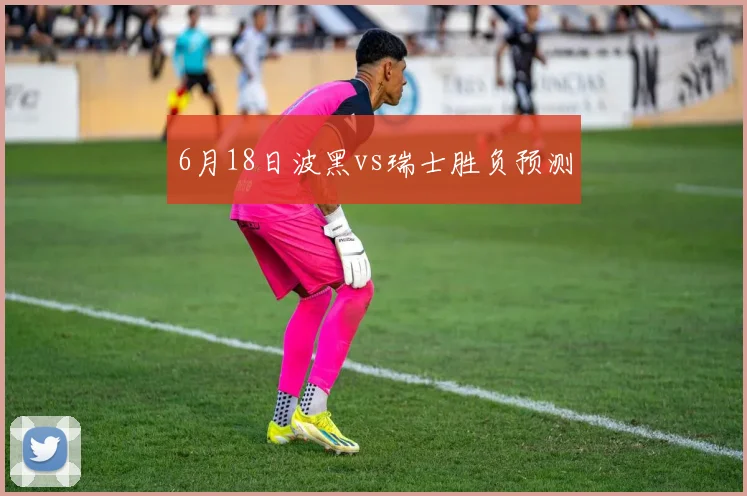 6月18日波黑vs瑞士胜负预测