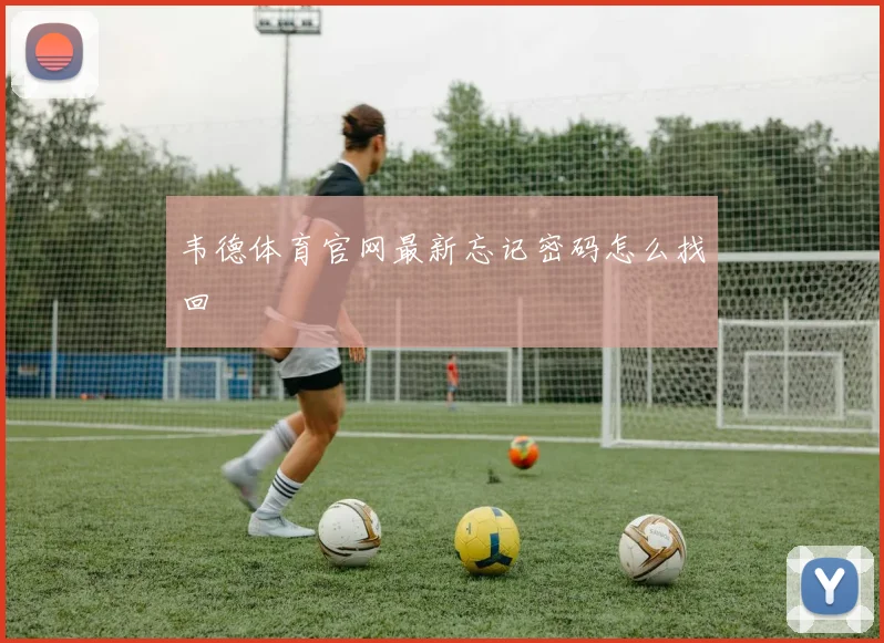 韦德体育官网最新忘记密码怎么找回